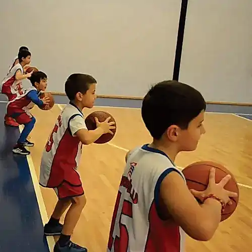 Hidayet Türkoğlu Basketbol ve Spor Okulu - Çankaya - A.Ayrancı Basketbol - 2. Fotoğraf