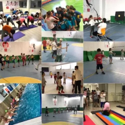 Spor Bilimleri Akademisi 